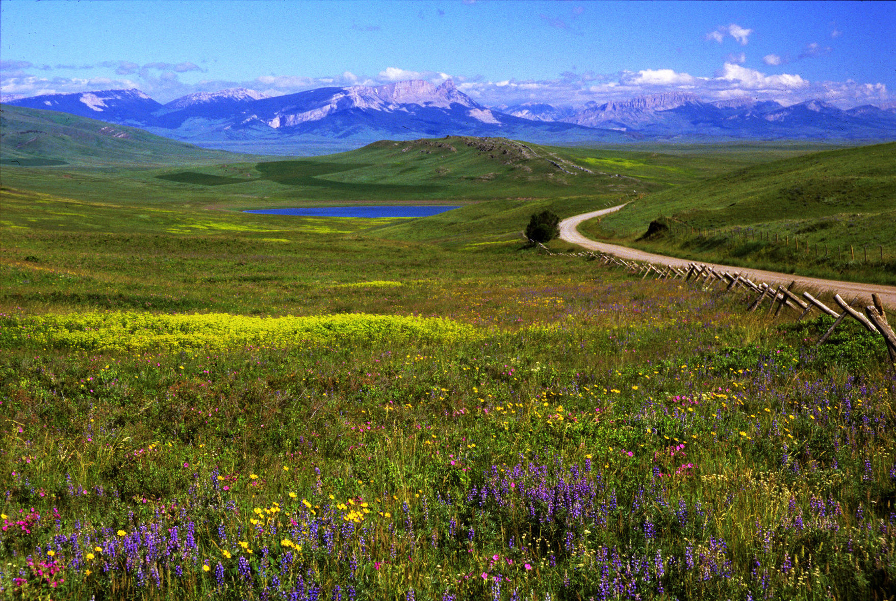 Territory: Rocky Mountain Front 07